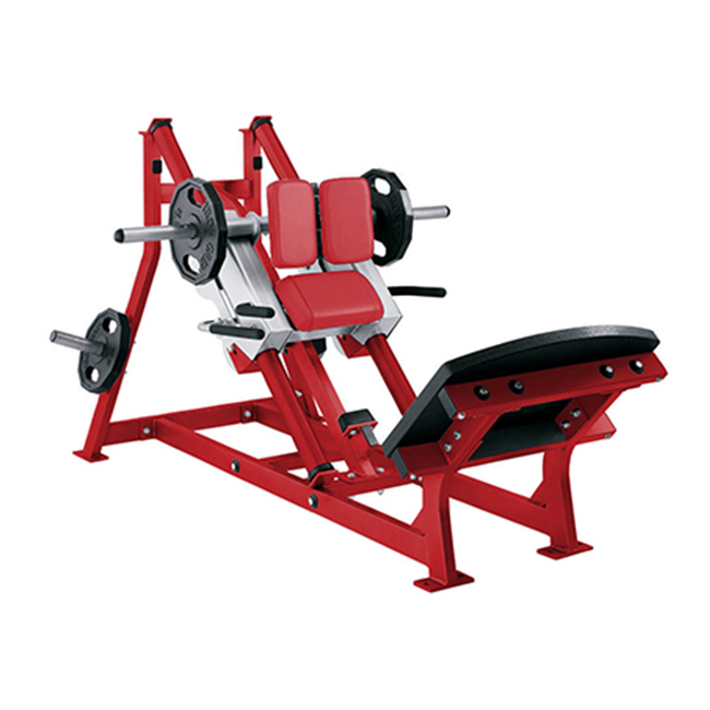 Vertical Leg Press - Machine de musculation compacte et verticale