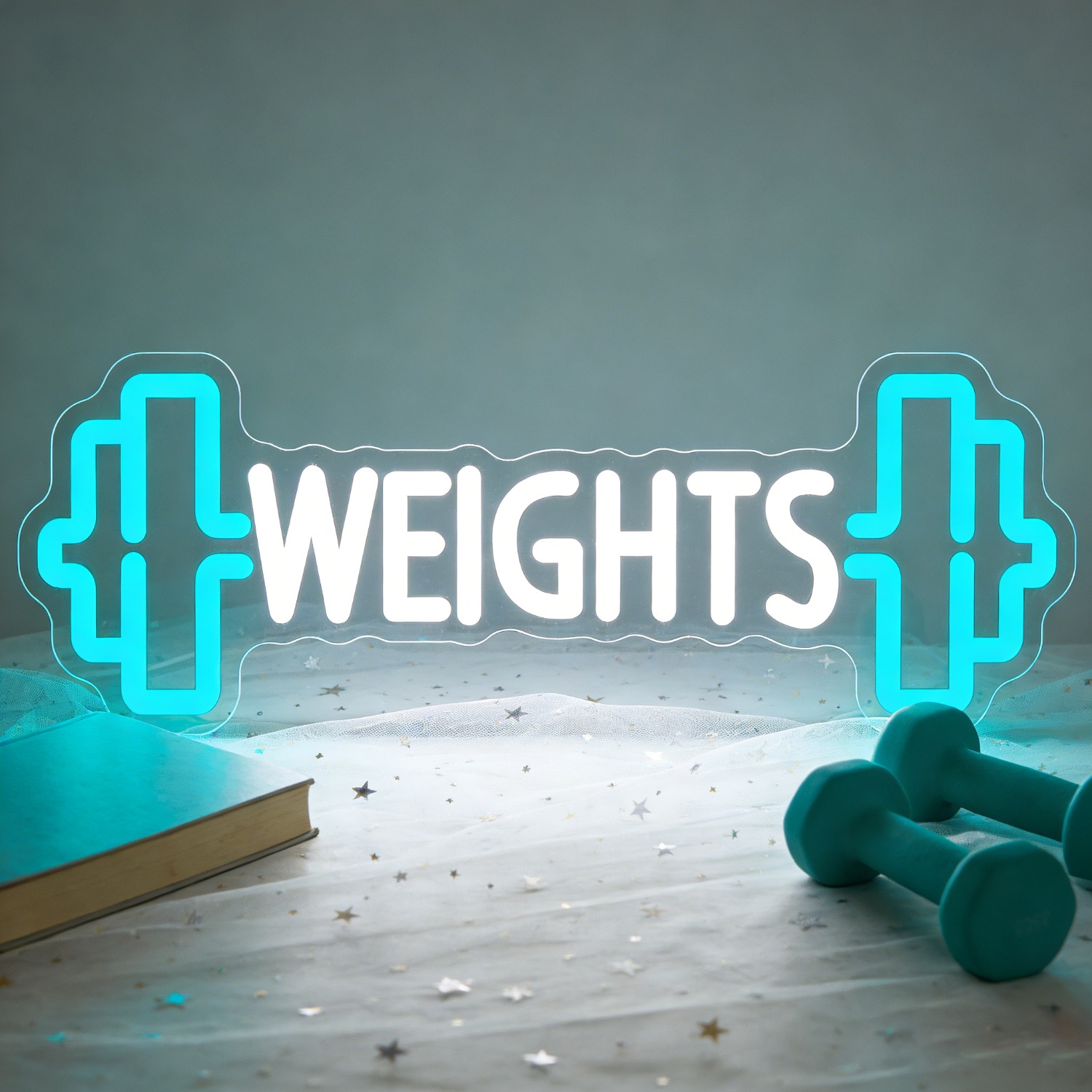 Panneau néon LED Haltères, Lam - Home Gym Neon Sign avis et prix