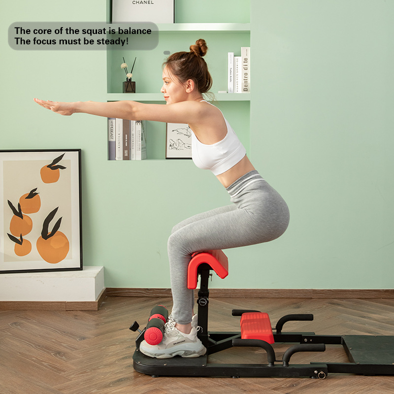 Machine à Squats Sissy 3-en-1  - Home Gym Quad Machine avis et prix